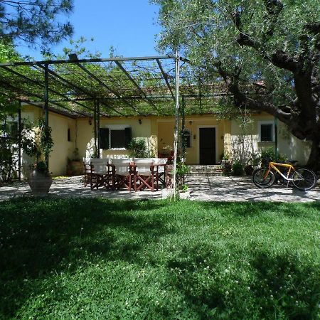 Theni Olive Grove Villa Kato Yerakarion Dış mekan fotoğraf