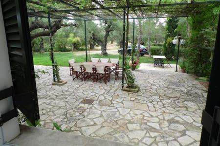 Theni Olive Grove Villa Kato Yerakarion Dış mekan fotoğraf