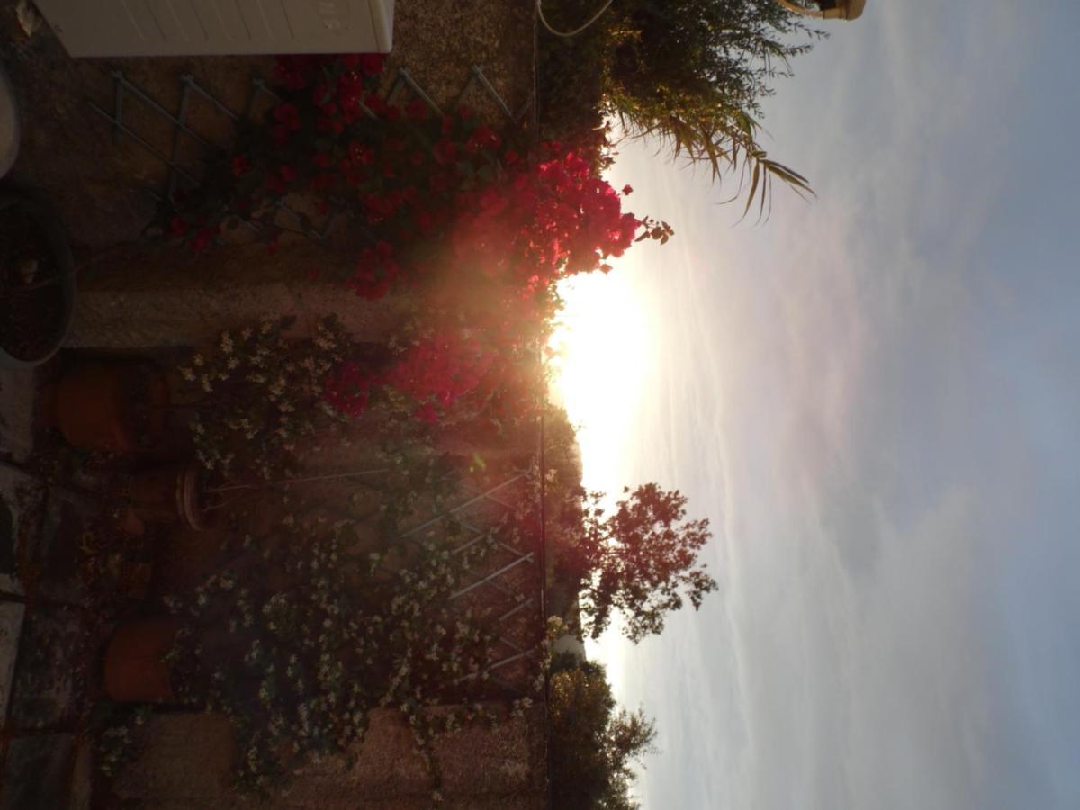 Theni Olive Grove Villa Kato Yerakarion Dış mekan fotoğraf