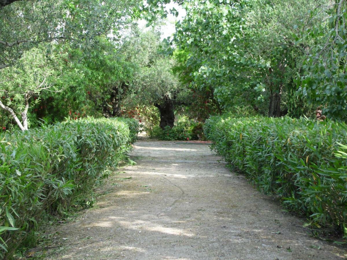 Theni Olive Grove Villa Kato Yerakarion Dış mekan fotoğraf