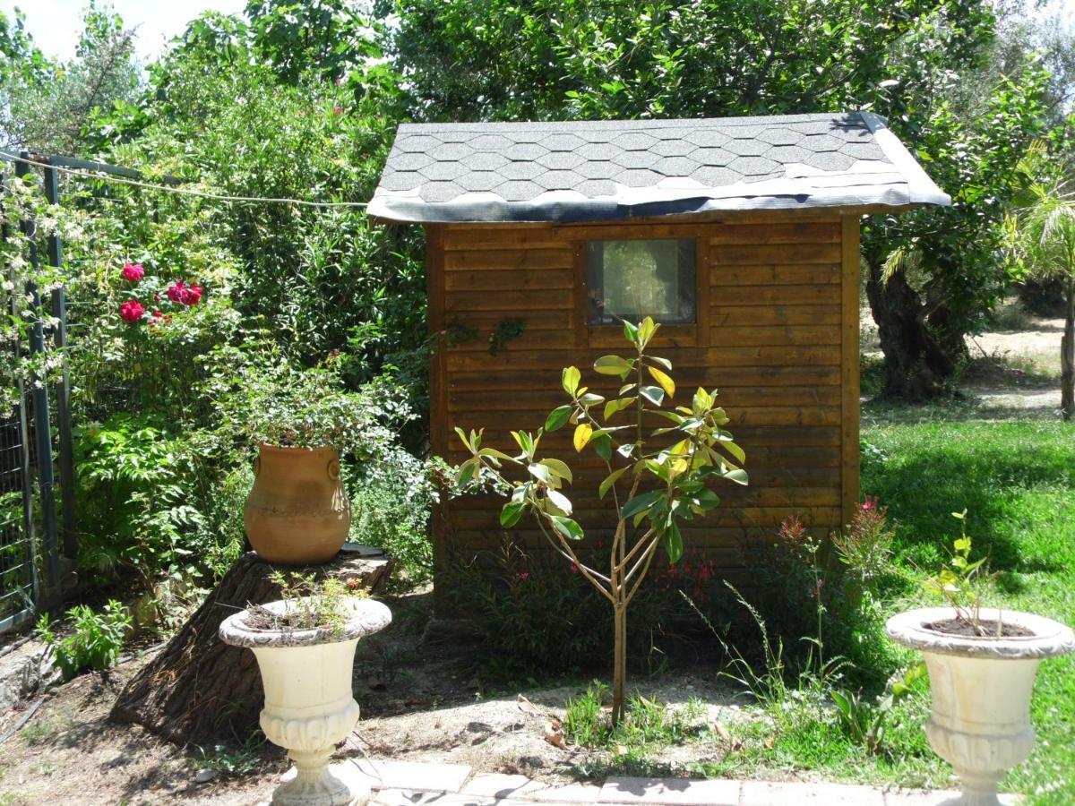 Theni Olive Grove Villa Kato Yerakarion Dış mekan fotoğraf