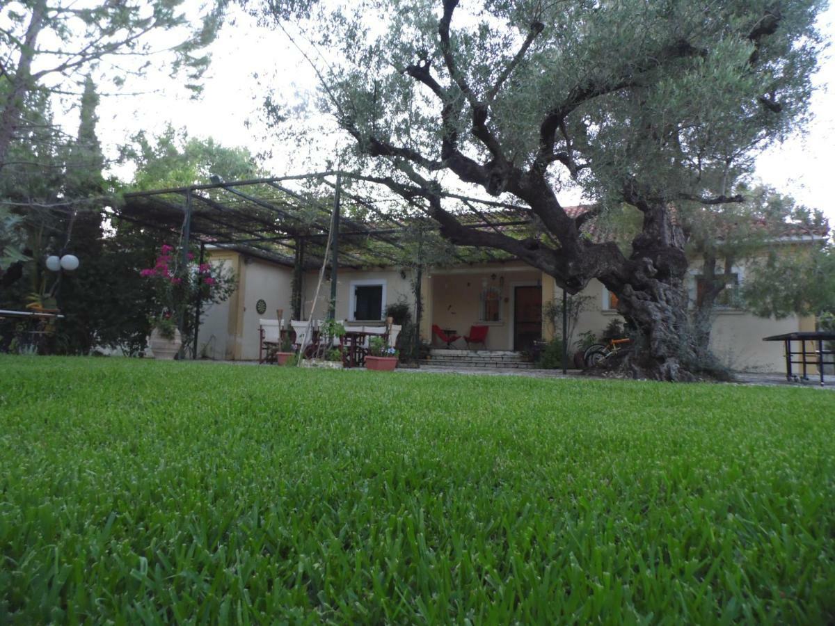 Theni Olive Grove Villa Kato Yerakarion Dış mekan fotoğraf